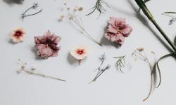 Featured image of post hugo搭建记录